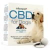cbd-for-dogs